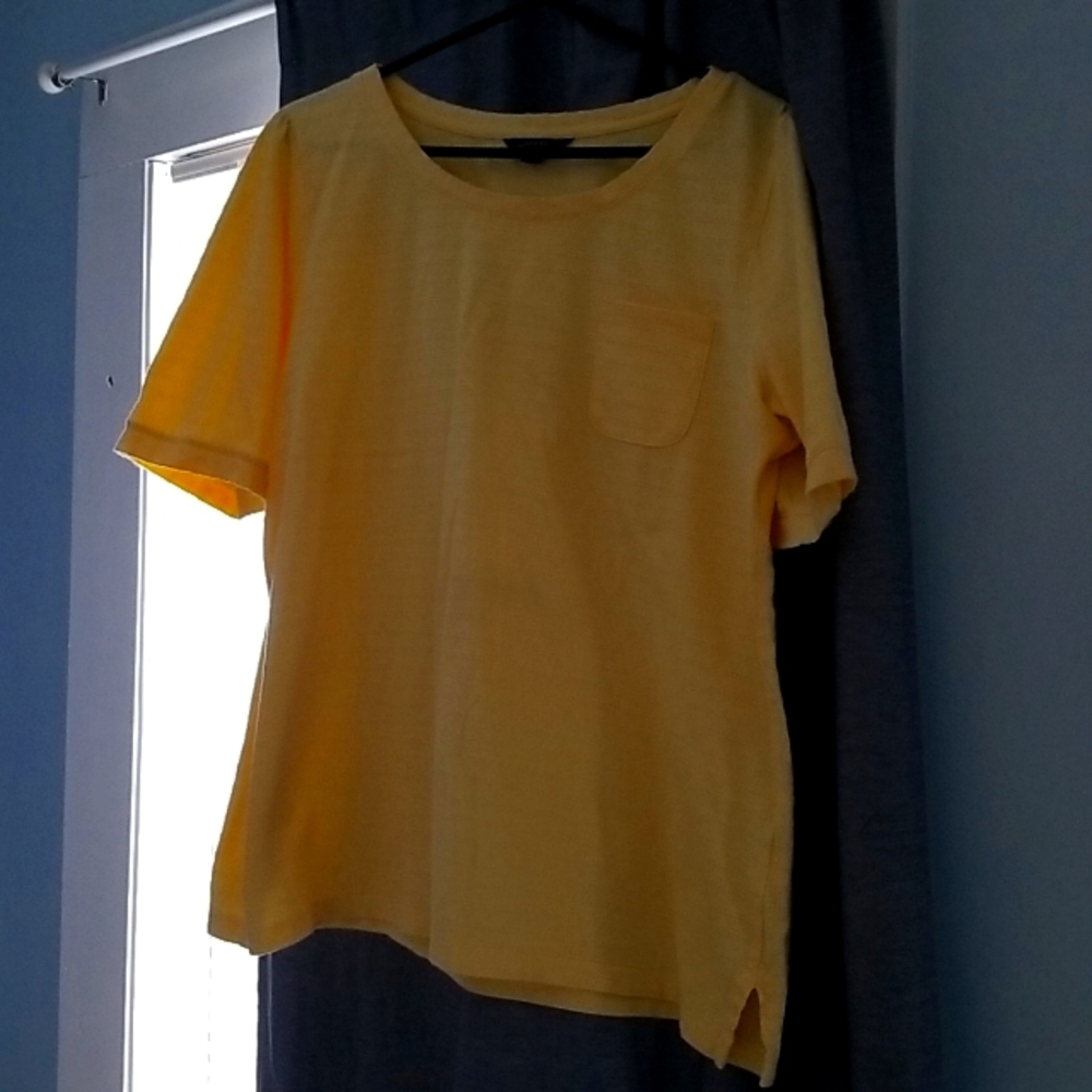 Shirt Lands End